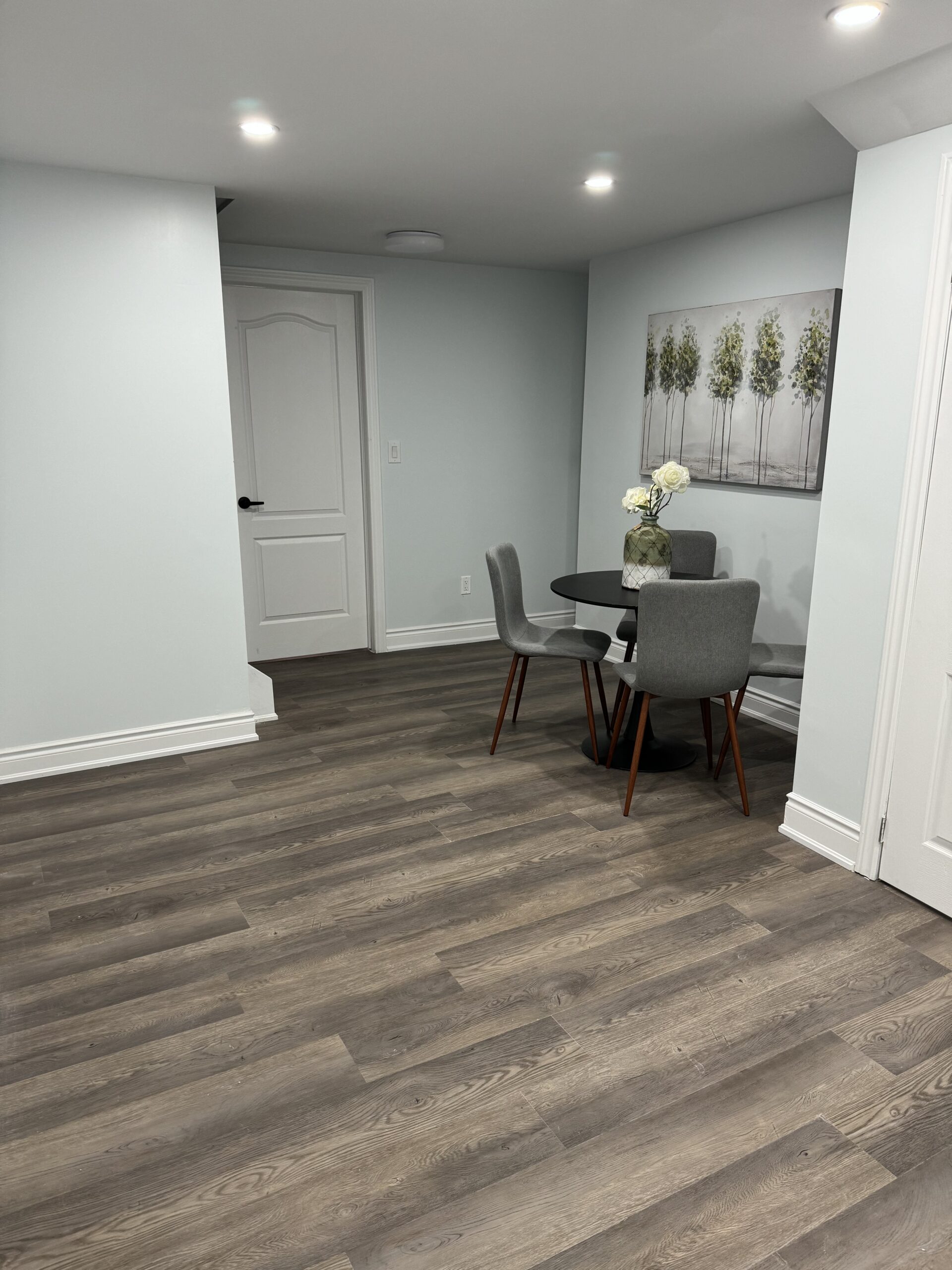 Kitchen Renovation