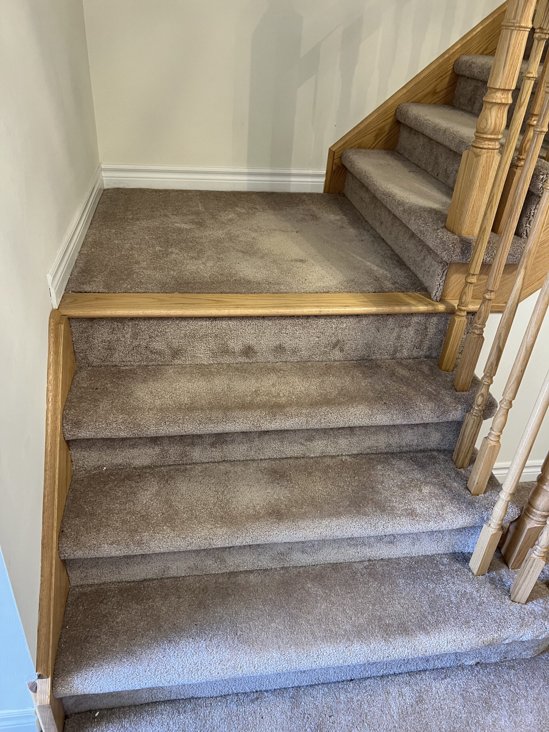Basement Finishing
